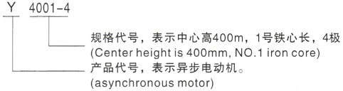 西安泰富西玛Y系列(H355-1000)高压YE2-160M-6三相异步电机型号说明