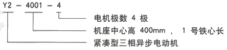 YR系列(H355-1000)高压YE2-160M-6三相异步电机西安西玛电机型号说明